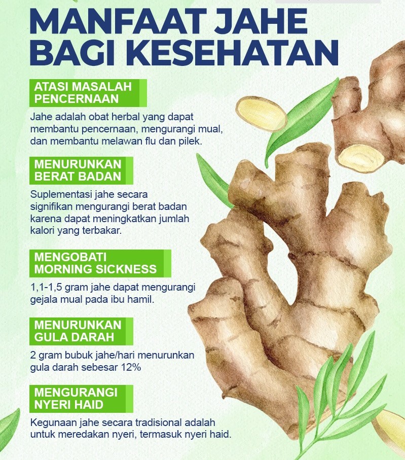 “Rahasia Jahe: Herbal Serbaguna untuk Kesehatan dan Hidup Sehari-Hari”