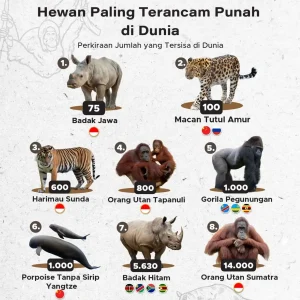 “7 Hewan Langka Dunia yang Nyaris Punah dan Wajib Kita Lindungi”