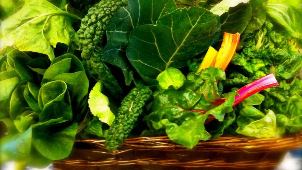 Jangan Abaikan Sayuran Hijau, Ini Khasiatnya bagi Tubuh