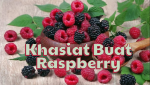 Kenali Manfaat Buah Raspberry untuk Gaya Hidup Sehat
