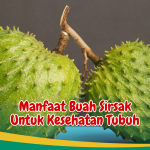 Kenali Manfaat Buah Sirsak untuk Kesehatan Sehari-hari