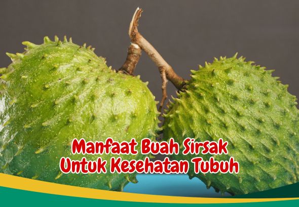 Kenali Manfaat Buah Sirsak untuk Kesehatan Sehari-hari