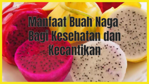 Manfaat Buah Naga untuk Kesehatan Tubuh dan Kecantikan Alami