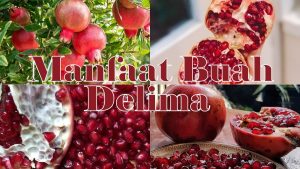 Khasiat Buah Delima bagi Tubuh dan Perawatan Kulit