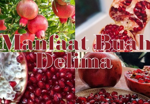 Khasiat Buah Delima bagi Tubuh dan Perawatan Kulit
