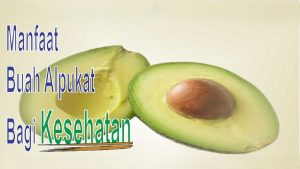 Buah Alpukat: Superfood untuk Tubuh dan Kecantikan