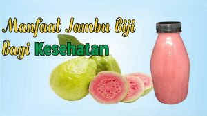 Jambu Biji, Buah Sederhana dengan Segudang Manfaat