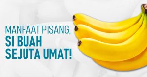 Buah Pisang, Sumber Energi Alami yang Menyehatkan
