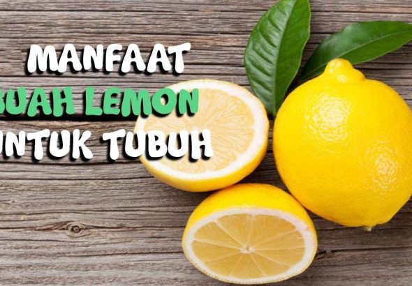 Buah Lemon dan Rahasia Hidup Sehat Alami