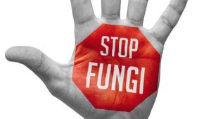 Kenali Gejala dan Cara Mencegah Infeksi Jamur