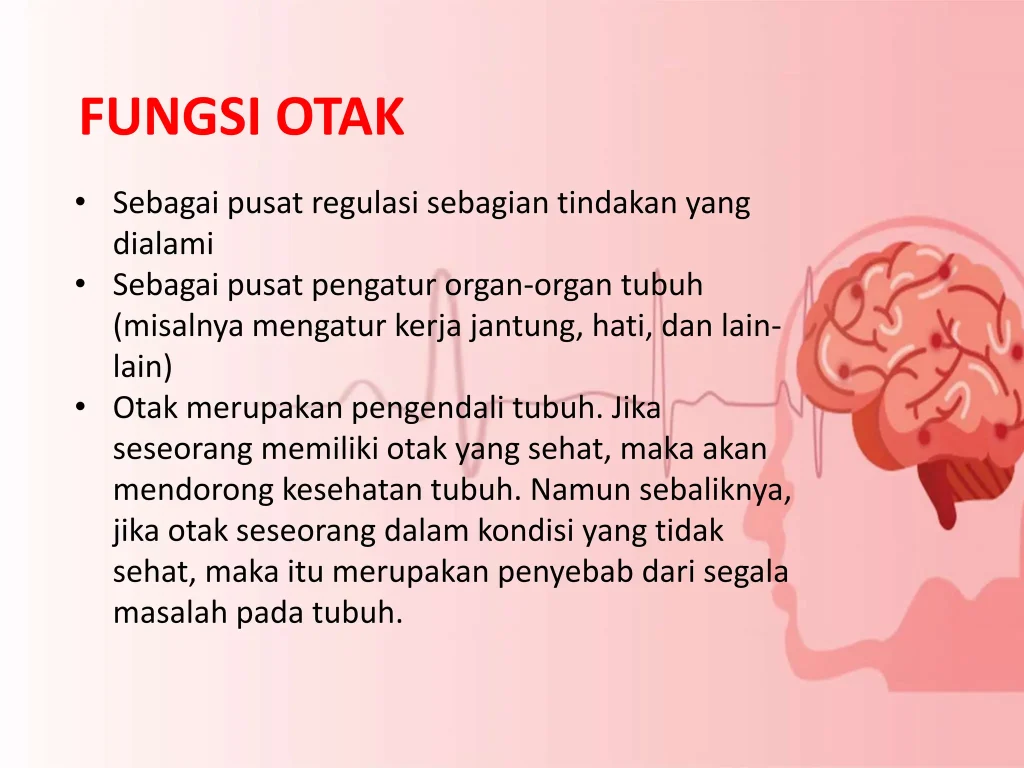 Cara Kerja Otak Manusia dan Fungsinya yang Luar Biasa
