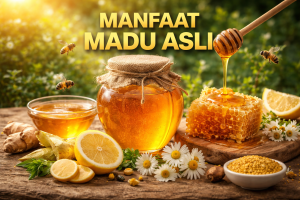 Madu Alami: Superfood yang Menjaga Imunitas dan Vitalitas Tubuh