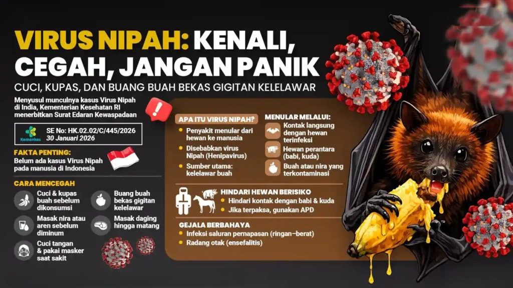 Penyakit Menular yang Perlu Diwaspadai: Mengenal Virus Nipah