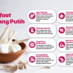 Jangan Sepelekan! Ini 7 Manfaat Bawang Putih