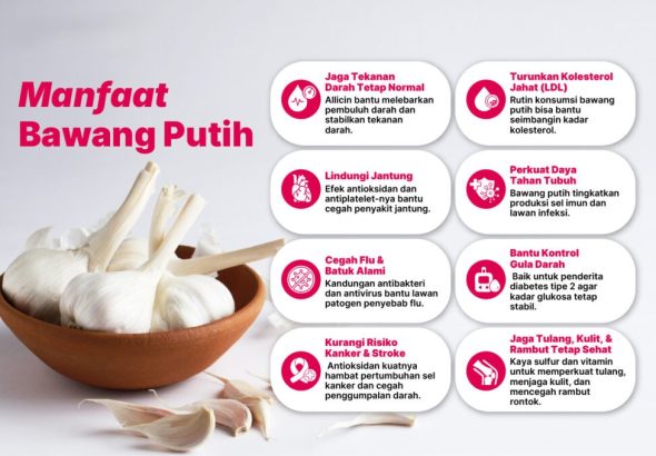 Jangan Sepelekan! Ini 7 Manfaat Bawang Putih