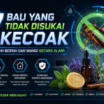 7 Aroma Ampuh Mengusir Kecoak dari Rumah