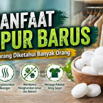 Tak Hanya Pengharum, Ini Fungsi Lain Kapur Barus