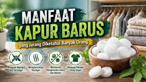 Tak Hanya Pengharum, Ini Fungsi Lain Kapur Barus