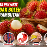 Siapa Saja yang Tidak Boleh Makan Rambutan Berlebihan?