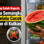 Ternyata Begini Dampak Menyimpan Semangka di Kulkas Terlalu Lama