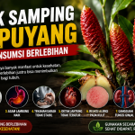 7 Risiko Kesehatan Akibat Terlalu Banyak Mengonsumsi Lempuyang