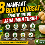 Buah Langsat dan Khasiatnya yang Menarik untuk Diketahui