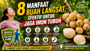 Buah Langsat dan Khasiatnya yang Menarik untuk Diketahui