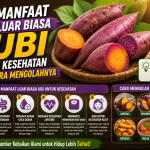 Kaya Nutrisi, Ini Cara Mengolah Ubi agar Gizinya Tetap Terjaga