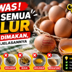 Tak Semua Telur Baik untuk Kesehatan, Ini yang Harus Diketahui