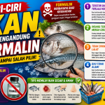 Kenali Tanda Ikan Berbahaya yang Mengandung Bahan Kimia
