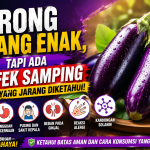 Makan Terong Berlebihan Bisa Memicu Masalah Kesehatan Tertentu