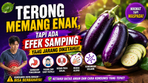 Makan Terong Berlebihan Bisa Memicu Masalah Kesehatan Tertentu