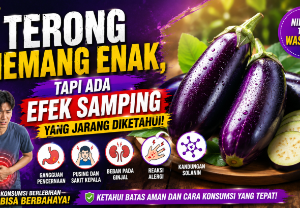 Makan Terong Berlebihan Bisa Memicu Masalah Kesehatan Tertentu
