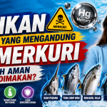 5 Jenis Ikan dengan Kandungan Merkuri yang Perlu Diwaspadai