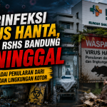 Waspada Virus Hanta, Penyakit dari Tikus yang Bisa Berujung Fatal