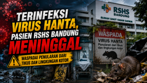 Waspada Virus Hanta, Penyakit dari Tikus yang Bisa Berujung Fatal