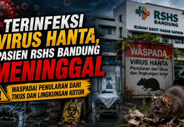 Waspada Virus Hanta, Penyakit dari Tikus yang Bisa Berujung Fatal