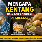 Kentang di Kulkas Bisa Berbahaya? Ini Penjelasannya