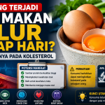 Telur Setiap Hari: Manfaat Besar dan Risiko yang Jarang Diketahui