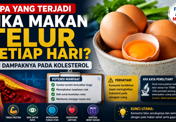 Telur Setiap Hari: Manfaat Besar dan Risiko yang Jarang Diketahui
