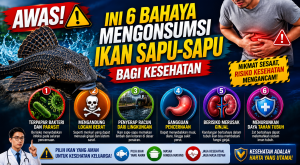 Fakta di Balik Ikan Sapu-Sapu, Benarkah Aman untuk Dikonsumsi?