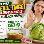 Kolesterol Tinggi dan Sayur Kol, Apakah Aman Dikonsumsi?
