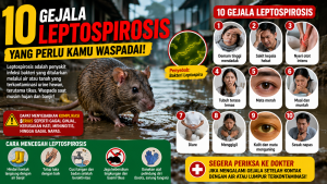 Waspada Penyakit Leptospirosis Saat Musim Hujan, Ini Gejala yang Harus Diketahui