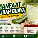 Sebelum Rutin Minum, Kenali 6 Manfaat Jus Lidah Buaya dan Risikonya