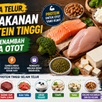 makanan berprotein tinggi untuk menambah massa otot