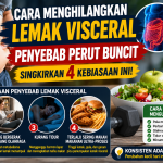 cara menghilangkan lemak visceral