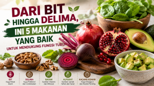 makanan yang baik untuk mendukung fungsi tubuh