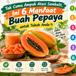 Tak Cuma Ampuh Atasi Sembelit, Ini 6 Manfaat Buah Pepaya untuk Tubuh Anda