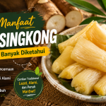 manfaat tape singkong