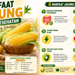 manfaat jagung untuk kesehatan